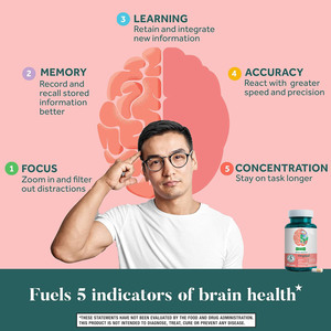OEM ODM Brain Capsules Supplement für die Vorstellung kraft von Gedächtnis und Konzentration, gefüllt mit Phosphat idyl serin und Neuro faktoren - Product Image 6