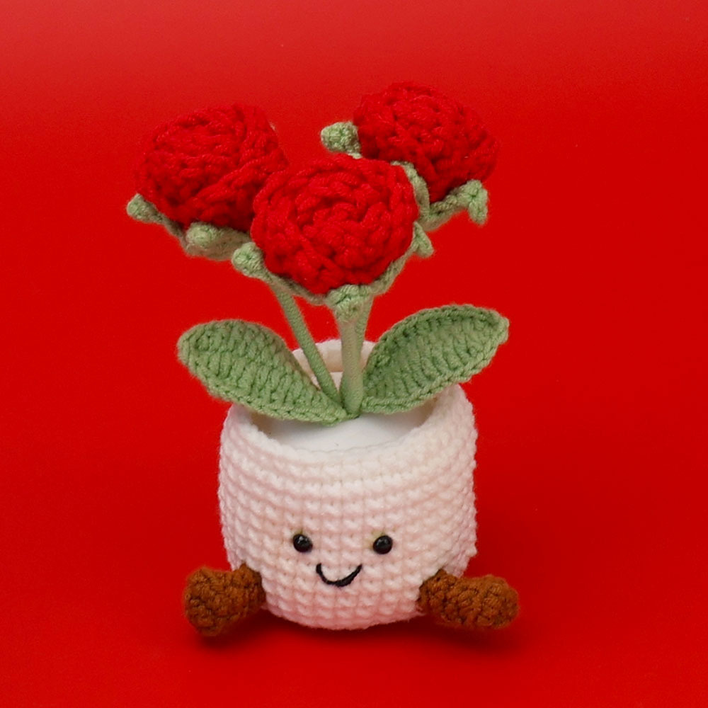 Neige cinq roses à bulles rouges-3-blanches avec pot en fil de fer à bordure en fourrure