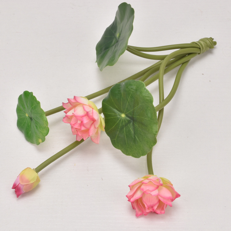 Piel de loto pequeña rosa