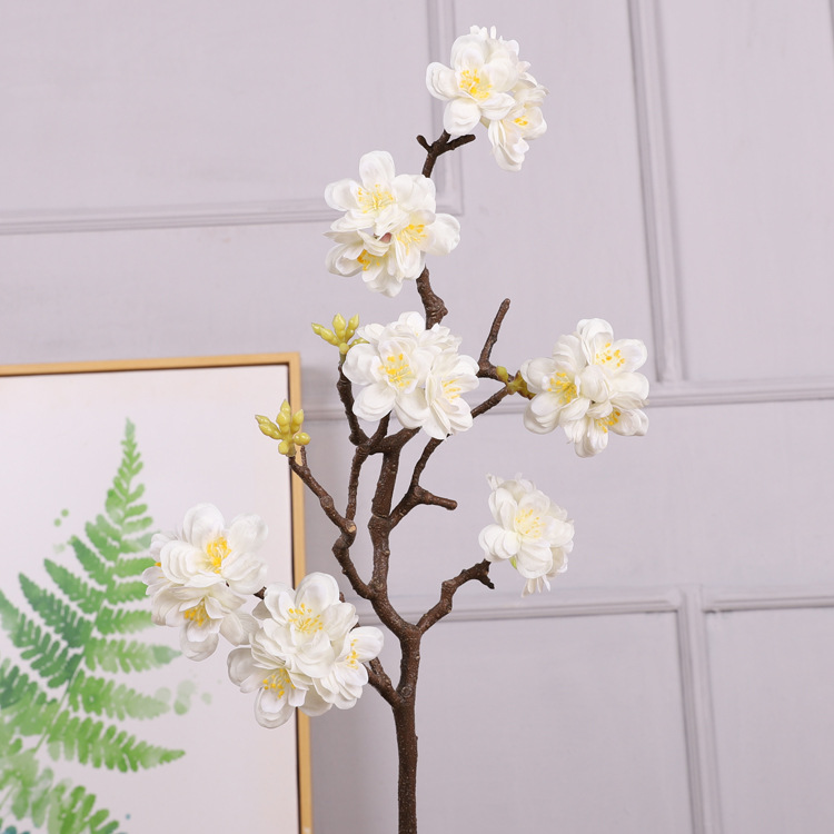 70CM off-white