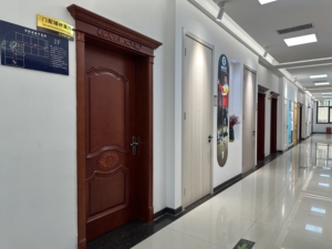 Factory Direct Sale Melamine Molded Wooden Door with Door Frame One Panel Finished Surface for Bedroom Use in Engineer Projects - Product Image 4