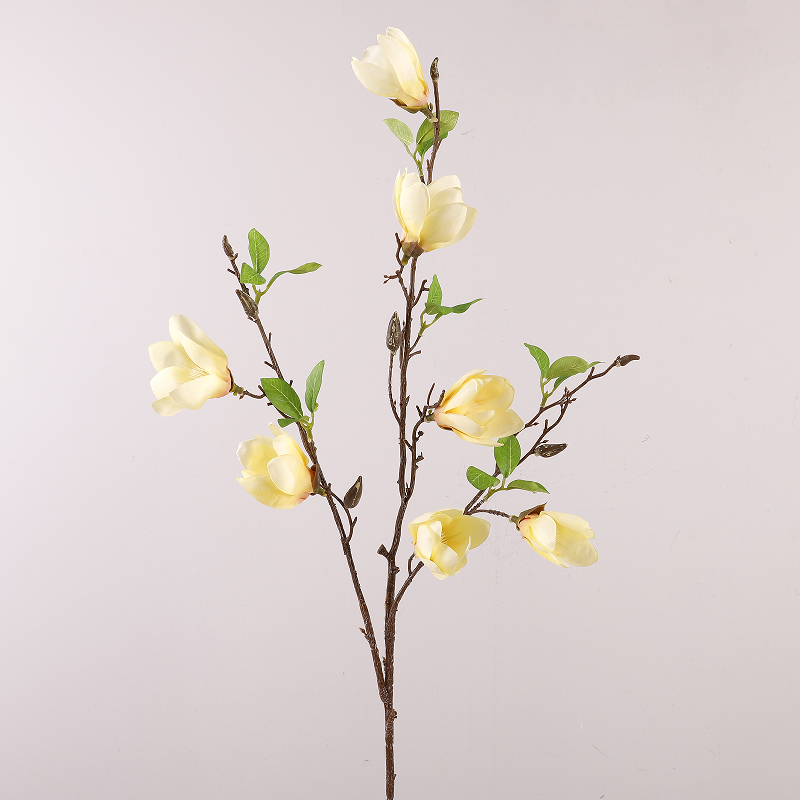 สีเหลือง