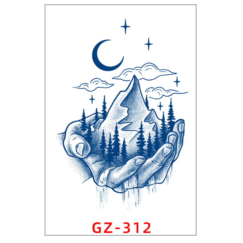 GZ-312 type