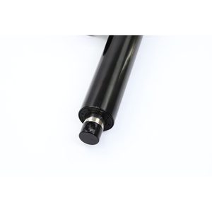 Yüksek kaliteli 12V lineer aktüatör tek 100Kg Servo Yh8-521 lineer aktüatör kompakt fırçasız Dc Motor - Product Image 2