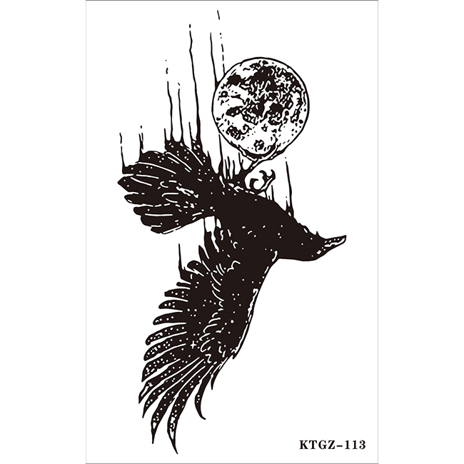 KT-113