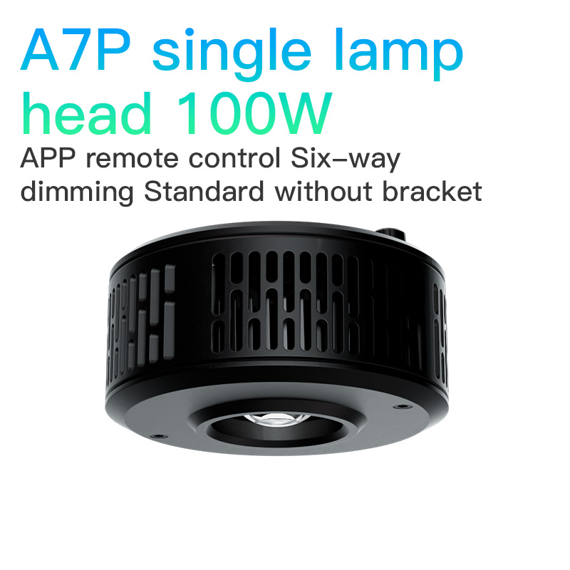A7P 100W