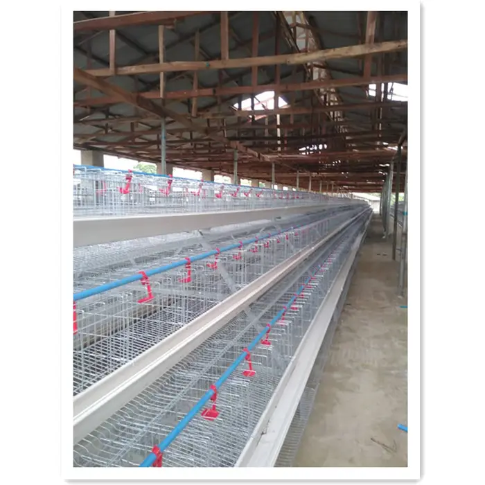बीटी गर्म बेच परत चिकन पिंजरों चिकन घर के लिए खेत जानवरों के लिए नाइजीरिया में