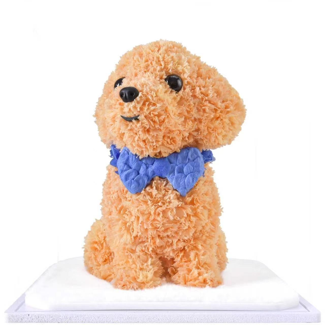 Chiot marron