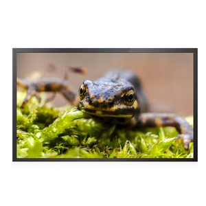 Hot Selling <strong>LCD</strong> <strong>Monitor</strong> Second <strong>Touch</strong> <strong>Screen</strong> PC <strong>Touch</strong> <strong>Monitor</strong> 42 Inch <strong>Computer</strong> <strong>Touch</strong> <strong>Screen</strong> <strong>Monitor</strong> - Product Image 2