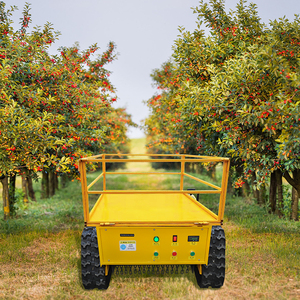 Joyance fabricante chinês Higher <span class=keywords><strong>performance</strong></span> equitação cortador de grama e zero volta cortadores de grama/BRUSHLESS MOTOR Mower