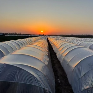 Оптовая продажа 6 мил 8 мил устойчивая к ультрафиолетовому излучению пленка для теплицы из полиэтилена, 200 микрон, услуги по резке листов, HD-пленка для сельского хозяйства - Product Image 1