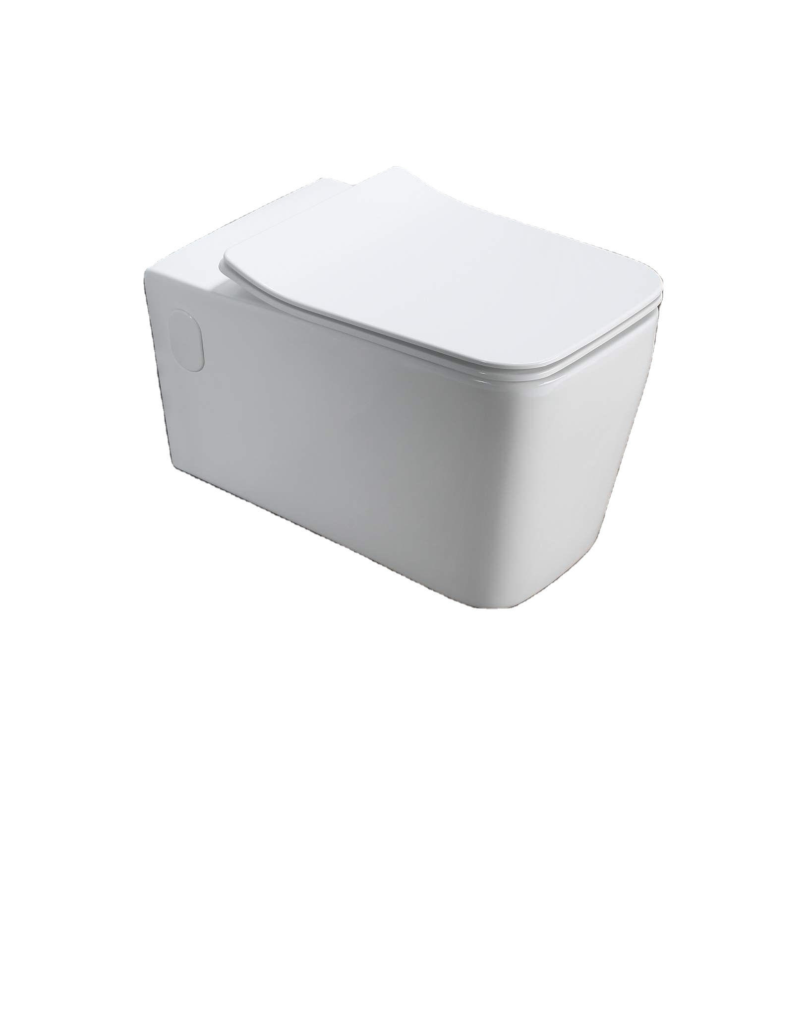 Toilettes blanches