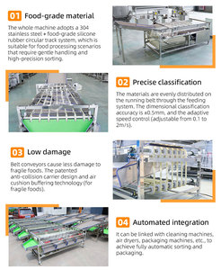 XINLONGJIA Easy Operation Mandarin Orange <strong>Sorting</strong> <strong>Machine</strong> / Strawberry <strong>Sorting</strong> <strong>Machine</strong> / Cherry Tomato <strong>Sorting</strong> <strong>Machine</strong> - Product Image 6