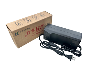 Chống Nước Xe Đạp Điện On-Board sạc làm việc với địa phương e-bike mô hình - Product Image 3