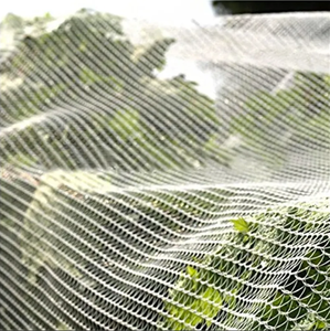 Factory Supply Anti-hail <strong>Net</strong> / Hail Protection <strong>Net</strong> / apple Tree Anti Hail - Product Image 2