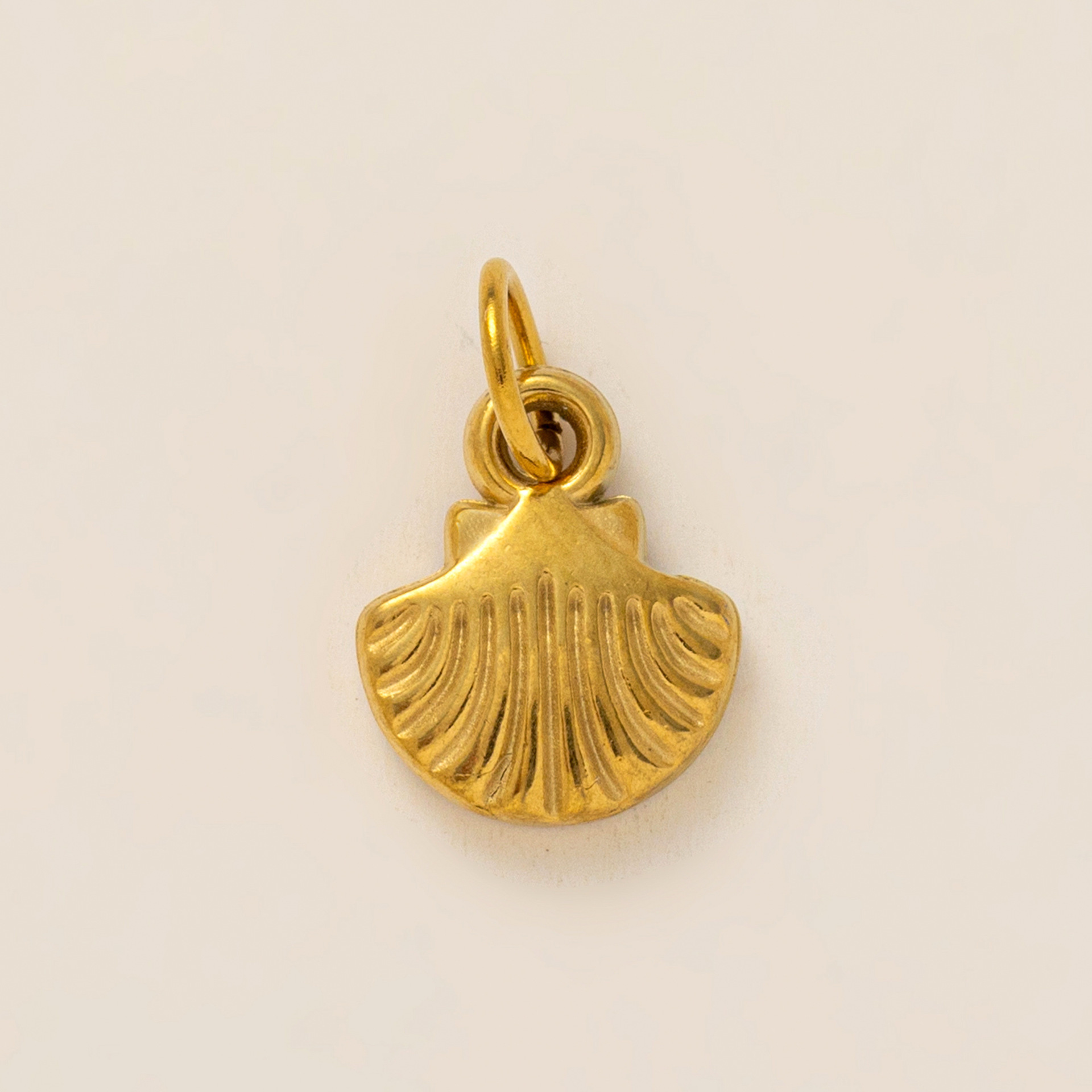 Coquille d'or 3