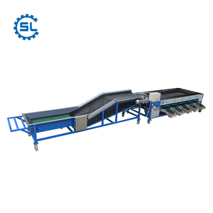 6 Ton/H mini patata cebolla camote niveladora clasificación máquina de selección - Product Image 6