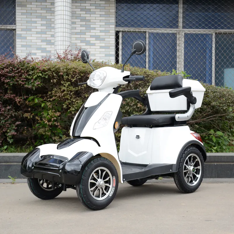 OEM 3-х колесный электрический скутер с 800 Вт Электрический трехколесный мотоцикл для взрослых