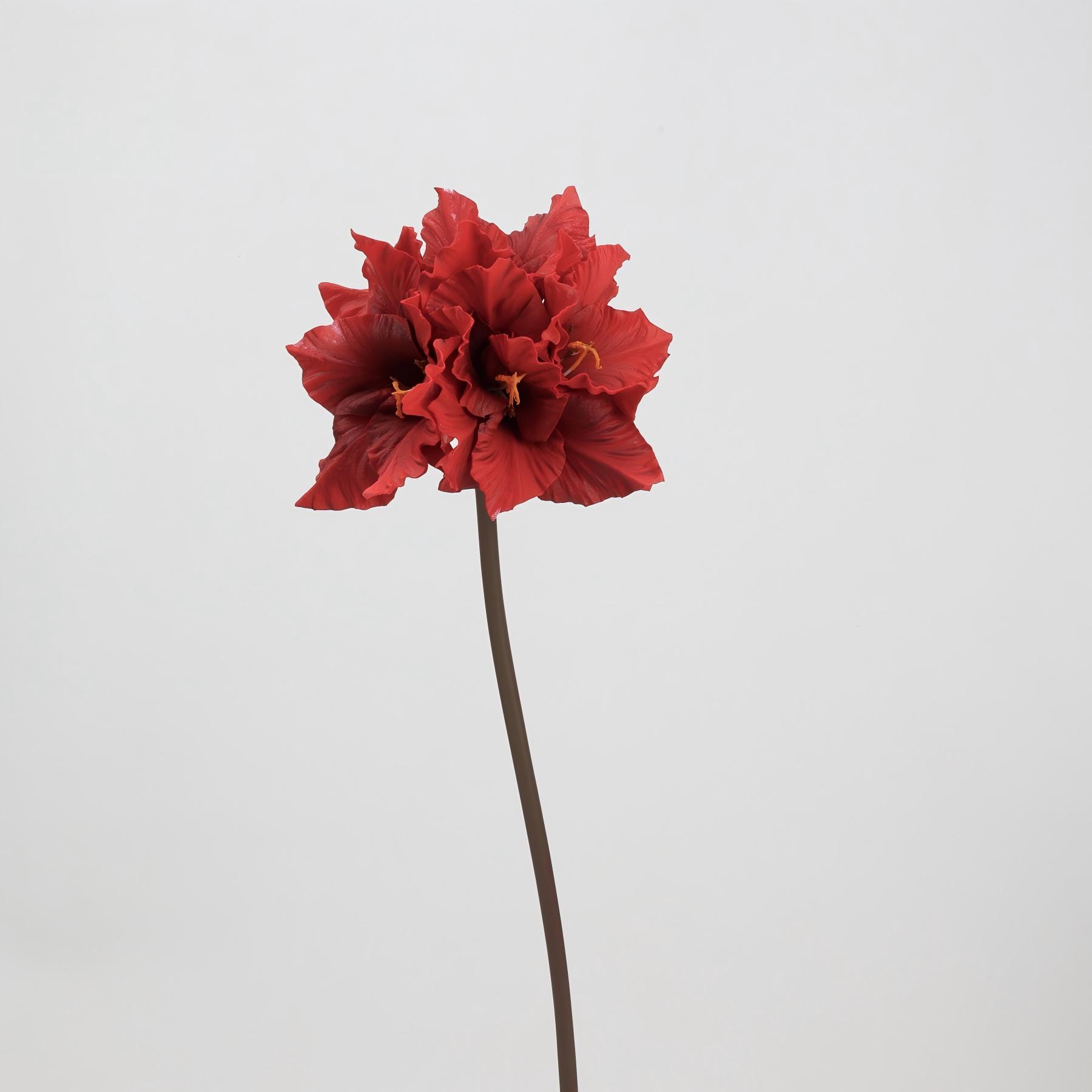 Fleur de glaïeul rouge