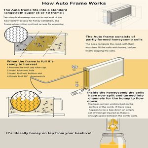 Auto Wooden Flows Bee Hive House Kit Beehive Boxes with 7 Pieces Comb Honey Frames for <strong>Beginning</strong> and Professional Beekeepers - Product Image 5