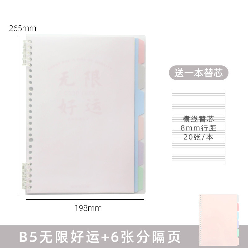 B5 infinite good luck cover + 6 divider pages