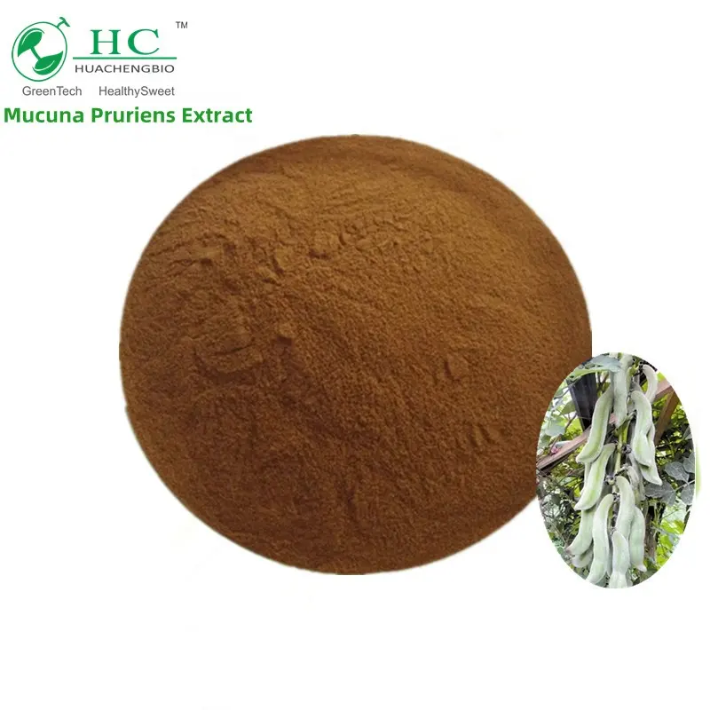 2022 Best Price 4:1~20:1 Mucuna Pruriens Extract For Hair Coloring