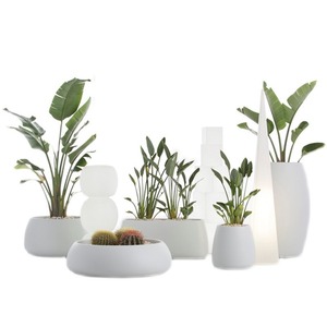 Plant plot pyjama plot flowerbed fittingplant display flowerbed - Product Image 6