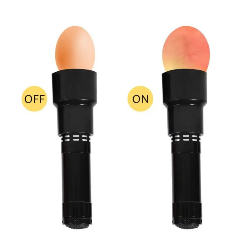 Iyi alınan tavuk yumurta izleme test cihazı ışık