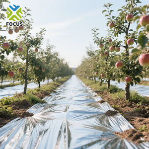 Nhà máy cung cấp màu đen và bạc nông nghiệp mulch phim mulching phim nông nghiệp đen mulch phim - Product Image 3