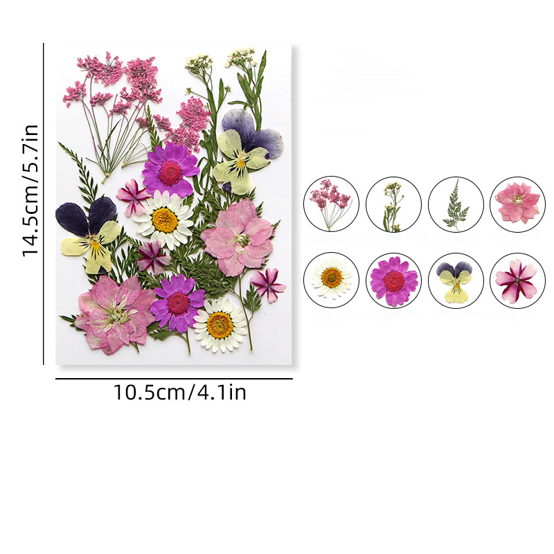 11 (16-23pcs)