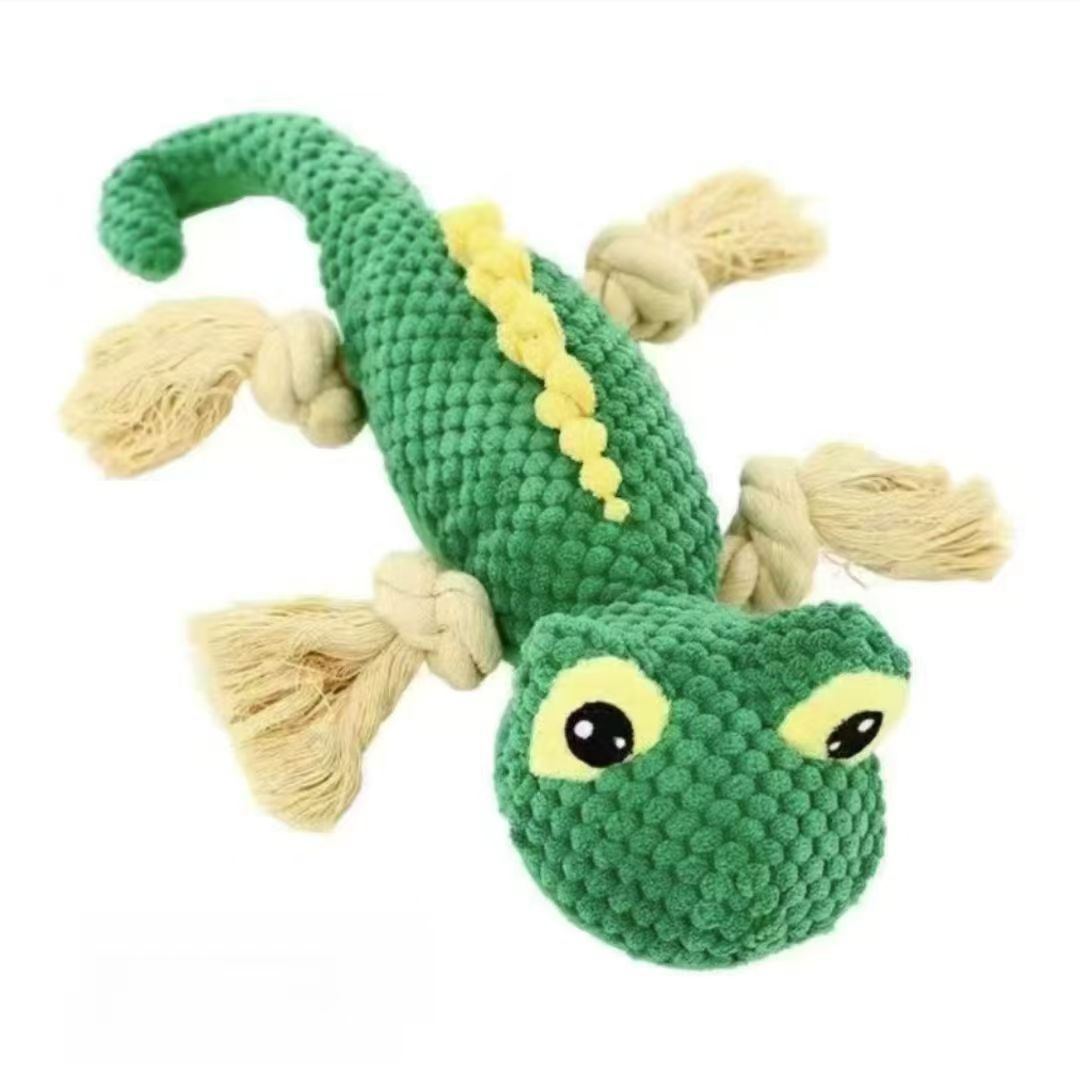 lizard