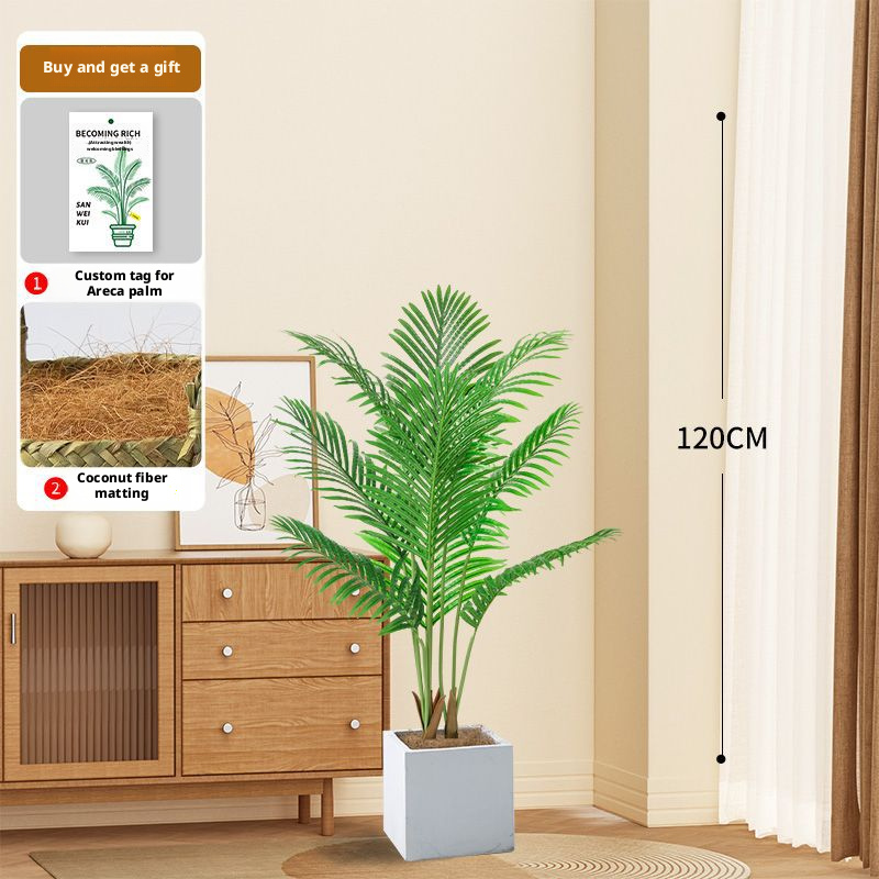 Palmier Areca vert 120CM, 8 tiges 8 feuilles ++ Pot cube blanc