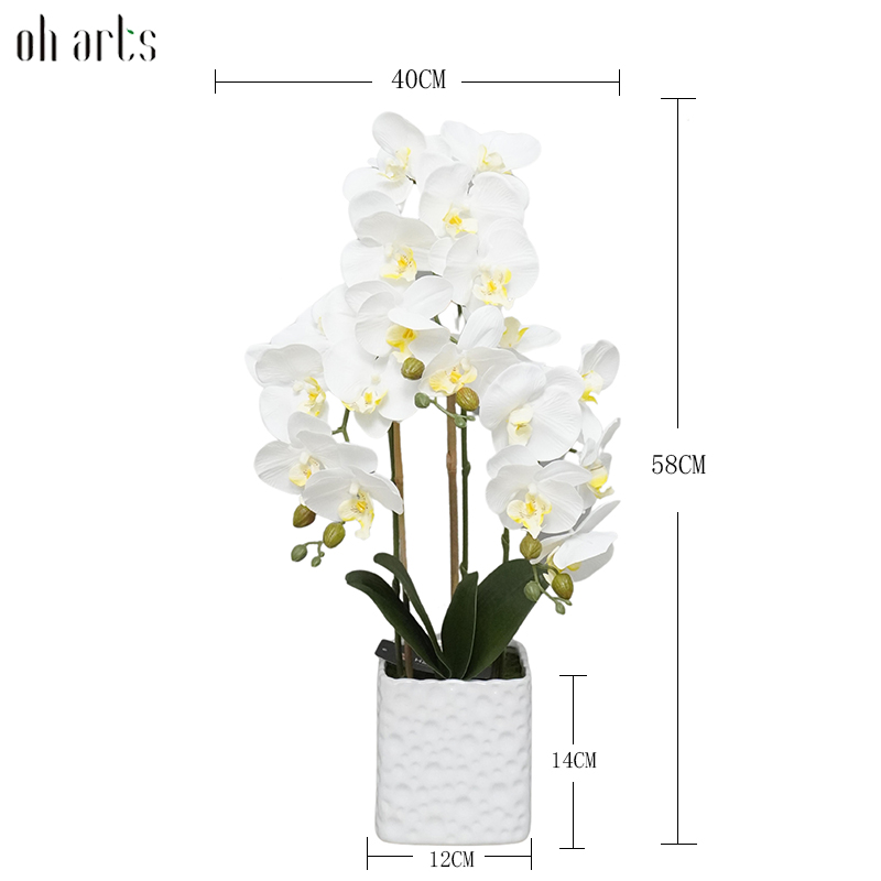 Blanc