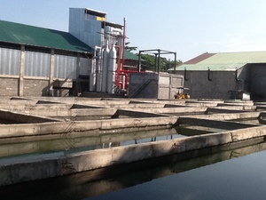 Şehir katı atık çöp çöp Pyrolysis gazlaştırıcı santral/çöp güç üretimi - Product Image 3