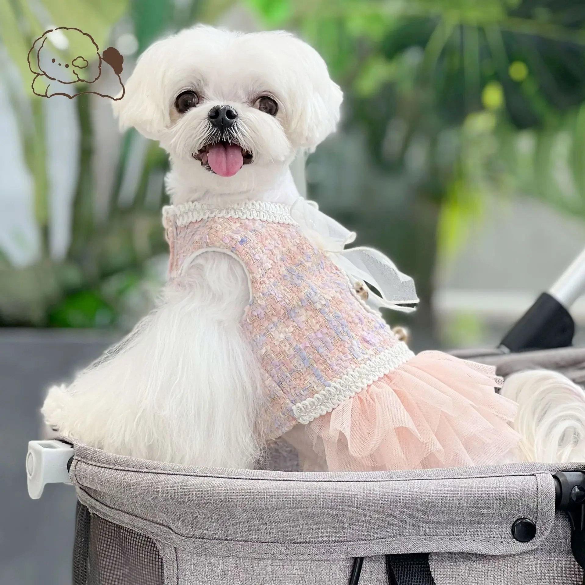 Penjualan Desain Baru Gaun Anjing Terbaik Pakaian Hewan Peliharaan Lucu Kartun Putri Gaun Anjing untuk Anjing Kecil untuk Ulang Tahun Kehidupan Sehari-hari