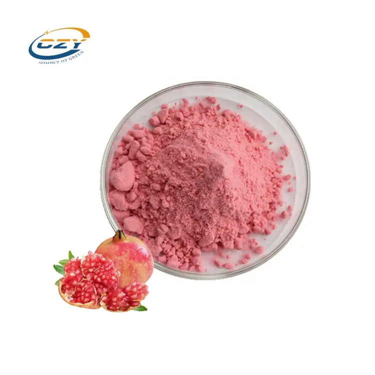 Hot Selling Pomegranate Fruit Juice Powder Organic Pomegranate Fruit Extract Powder