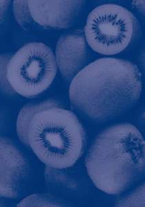 Kwd + spor sağlık <span class=keywords><strong>Protein</strong></span> emilimi OptimizerSport sağlık takviyesi besin takviyeleri tozu - Product Image 4