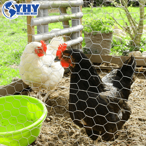 Galvanized Chicken Wire Mesh <strong>Hexagonal</strong> Wire <strong>Netting</strong> for Chicken Cage Frame - Product Image 6