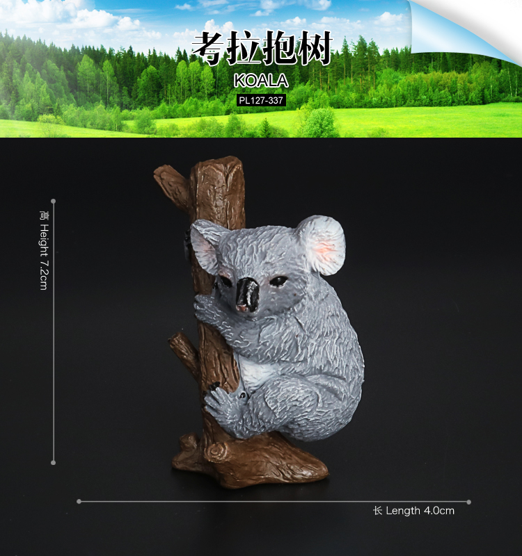 337 Koala sur un arbre