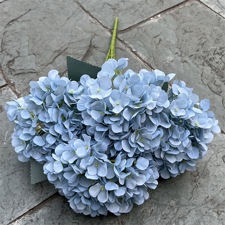 HY-015 light blue