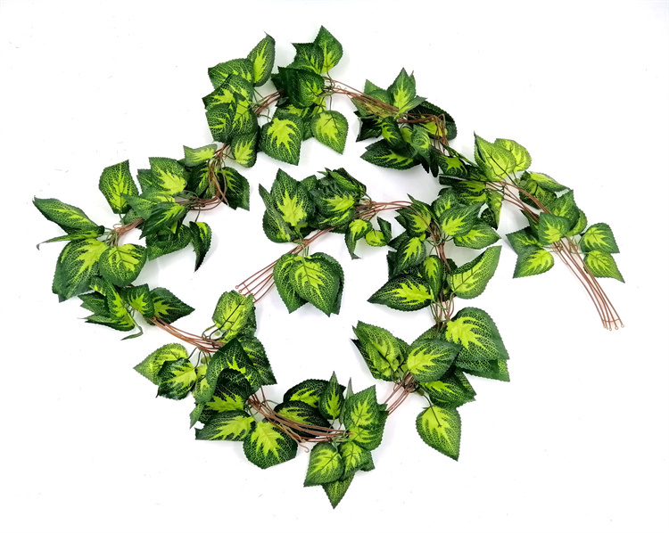 LV03 verde