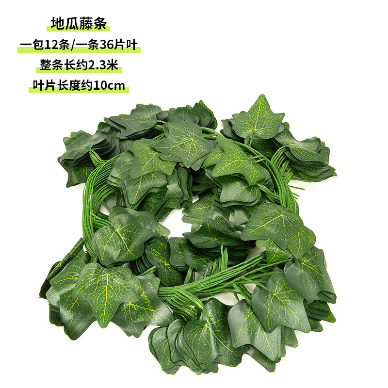 36 sweet potato vine strips (1 pack of 12)