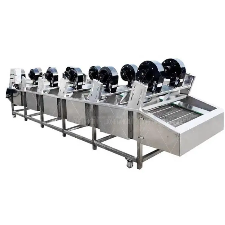 High Efficiency And Energy Saving Automatic Reversible Food Plum Grade Ginger Air Dryer Fruit Dehydrator Drying Machine