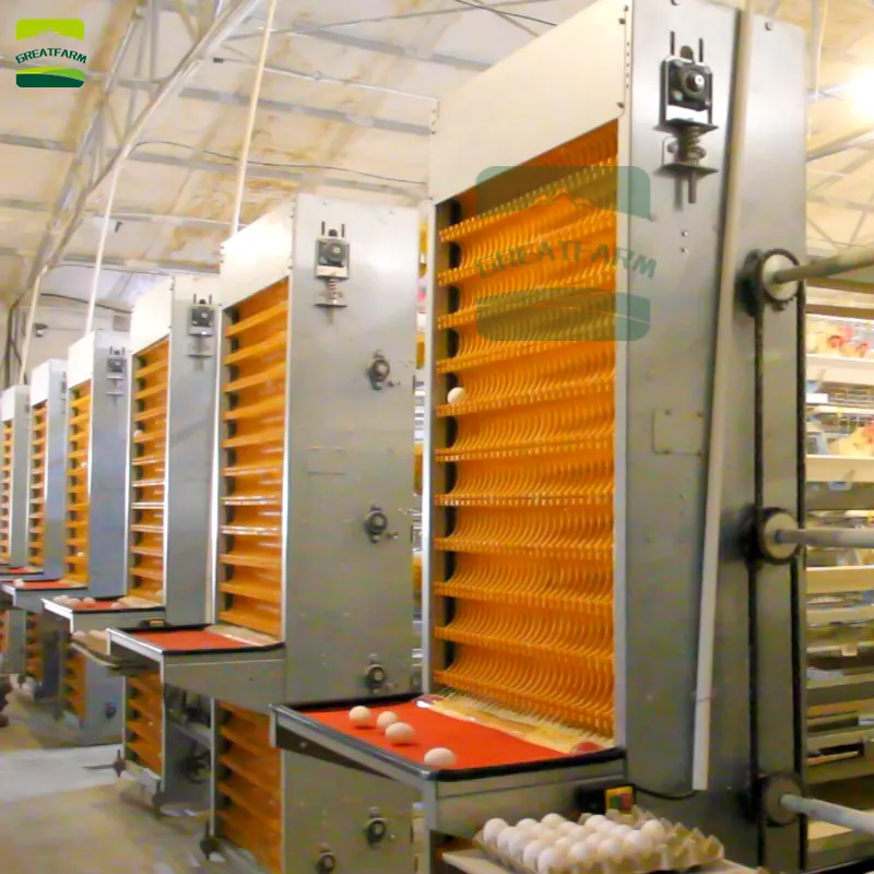 Sistema de recolección de huevos para granjas avícolas, sistema de recolección de huevos, máquinas de recolección de huevos