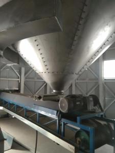 Máquina de clasificación de granos de soja, cinta transportadora - Product Image 2