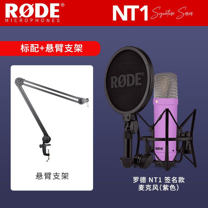 ขายึดแบบคานยื่นรุ่น Purple NT1 Signature