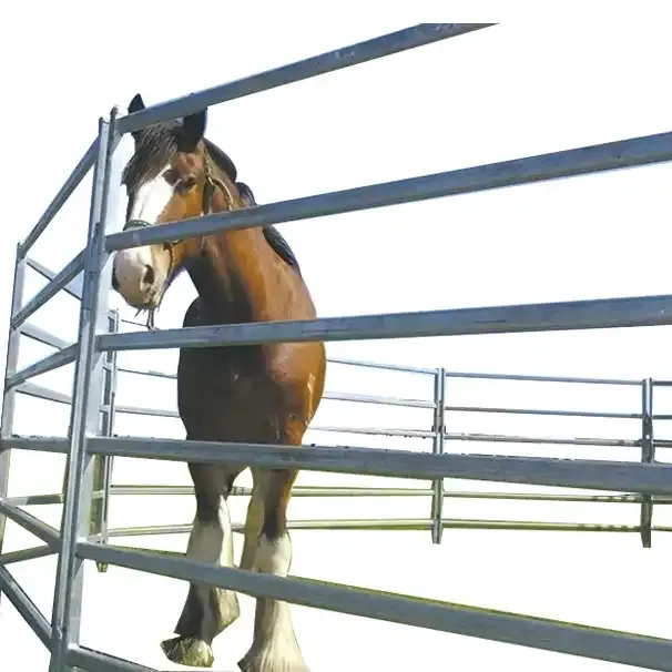 2024 // Caballos Seguridad Plumas redondas portátiles paneles de corral de caballos Paneles de valla de paddock paneles de Corral galvanizados