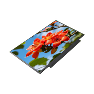 BOE promozione speciale personalizzabile da 13.3 pollici NV133FHM-N62 IPS modulo Display LCD Non Touch pannello TFT Notebook nuova sostituzione - Product Image 3