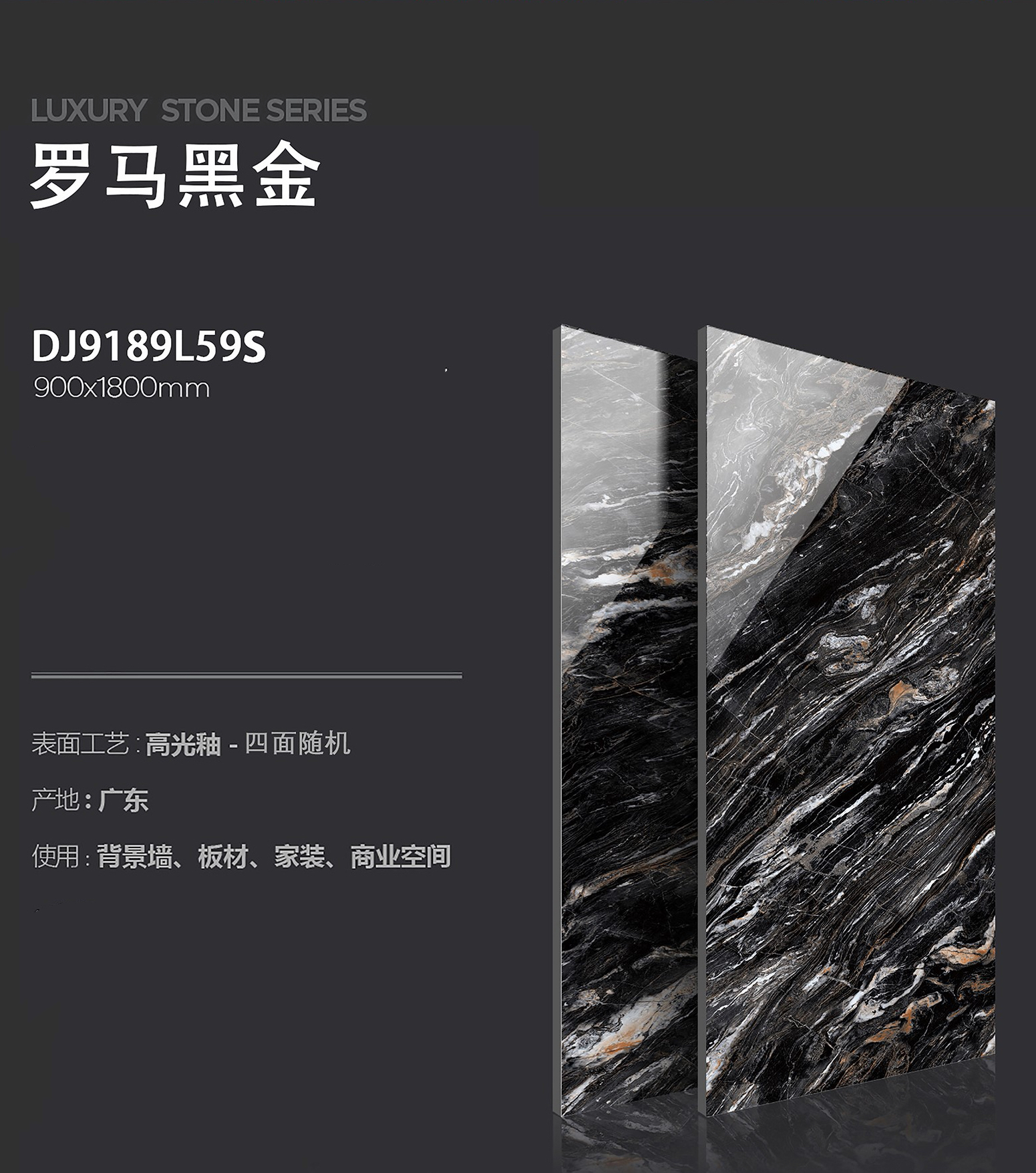 DJ9189L59S
