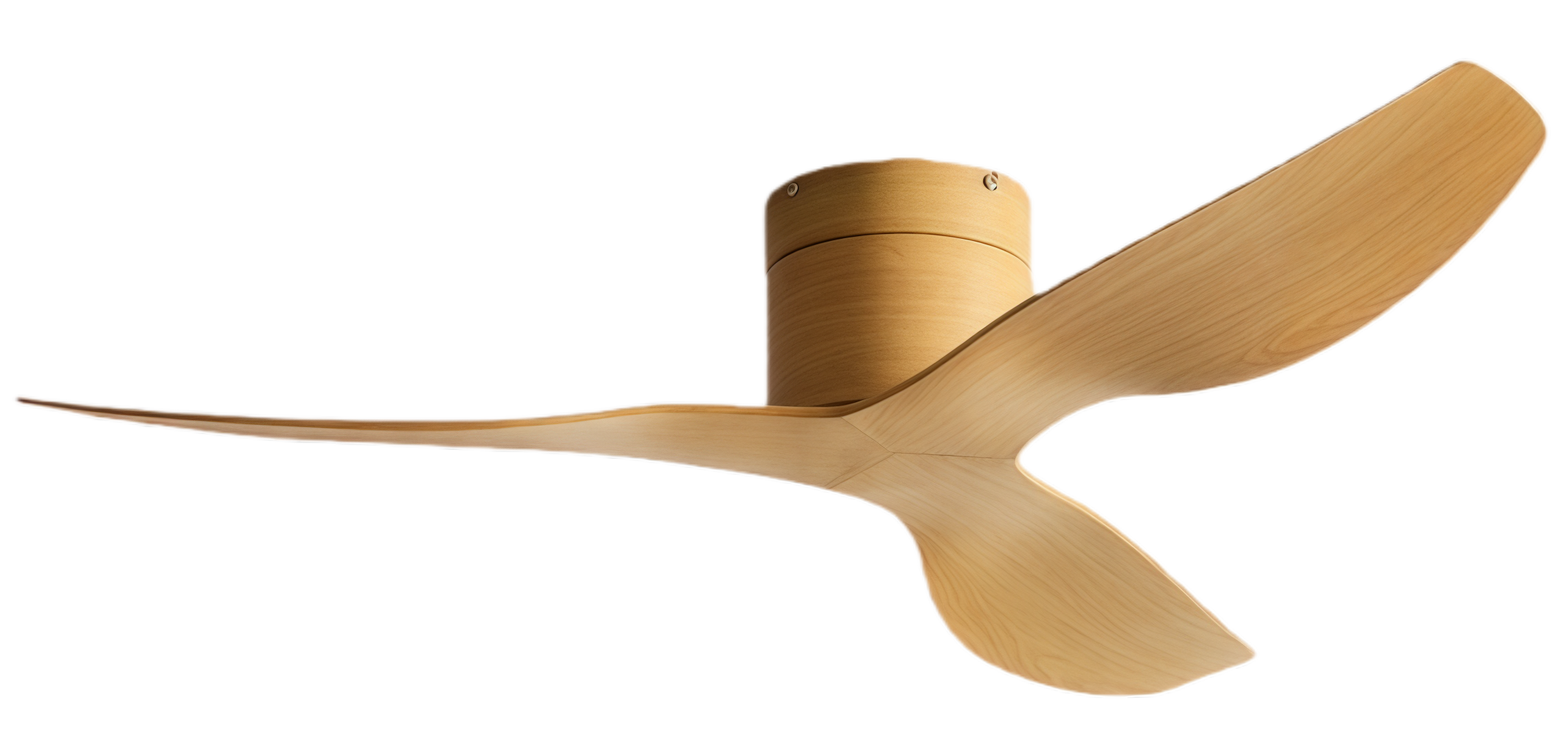 Grano de madera completo